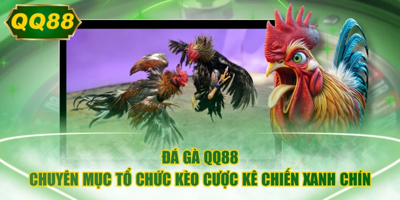 Đá Gà QQ88